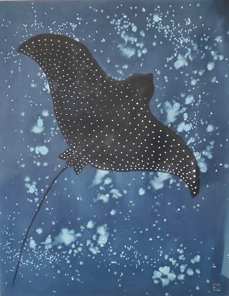 Katie White - Night Flyer