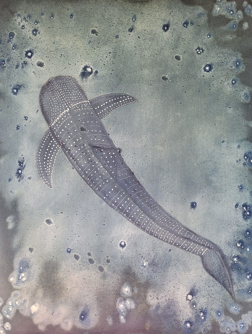 Swimming Through The Stars Swimming Through The Stars