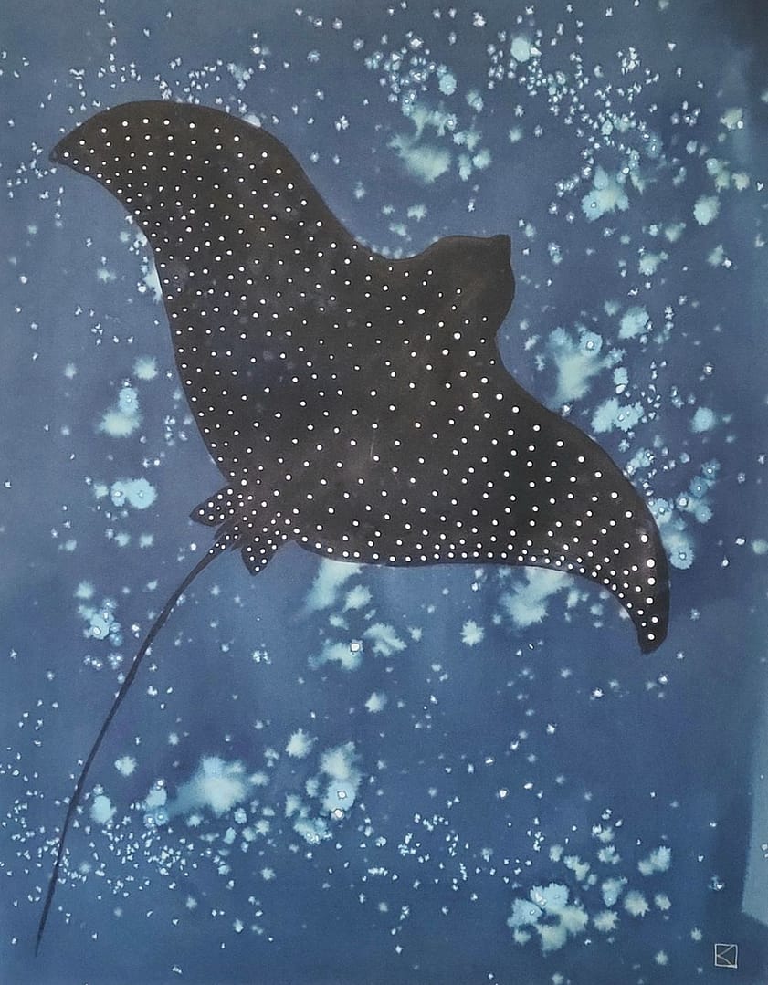 Night Swimmer Night Swimmer