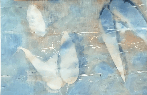 Katie White-Through the Water-1-Wet Cyanotype